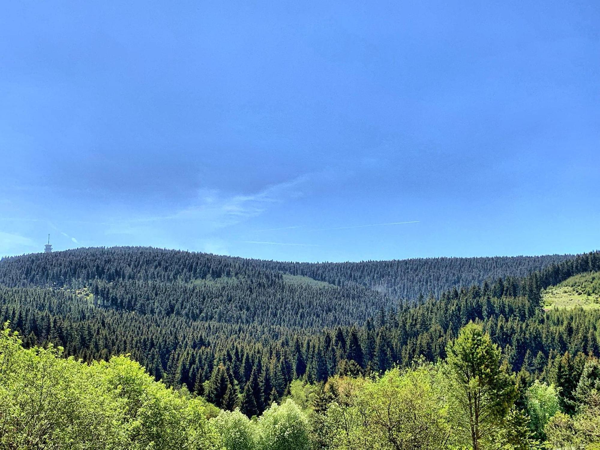 Erzgebirge Suite Bergruhe 奥泊维森塔尔 外观 照片