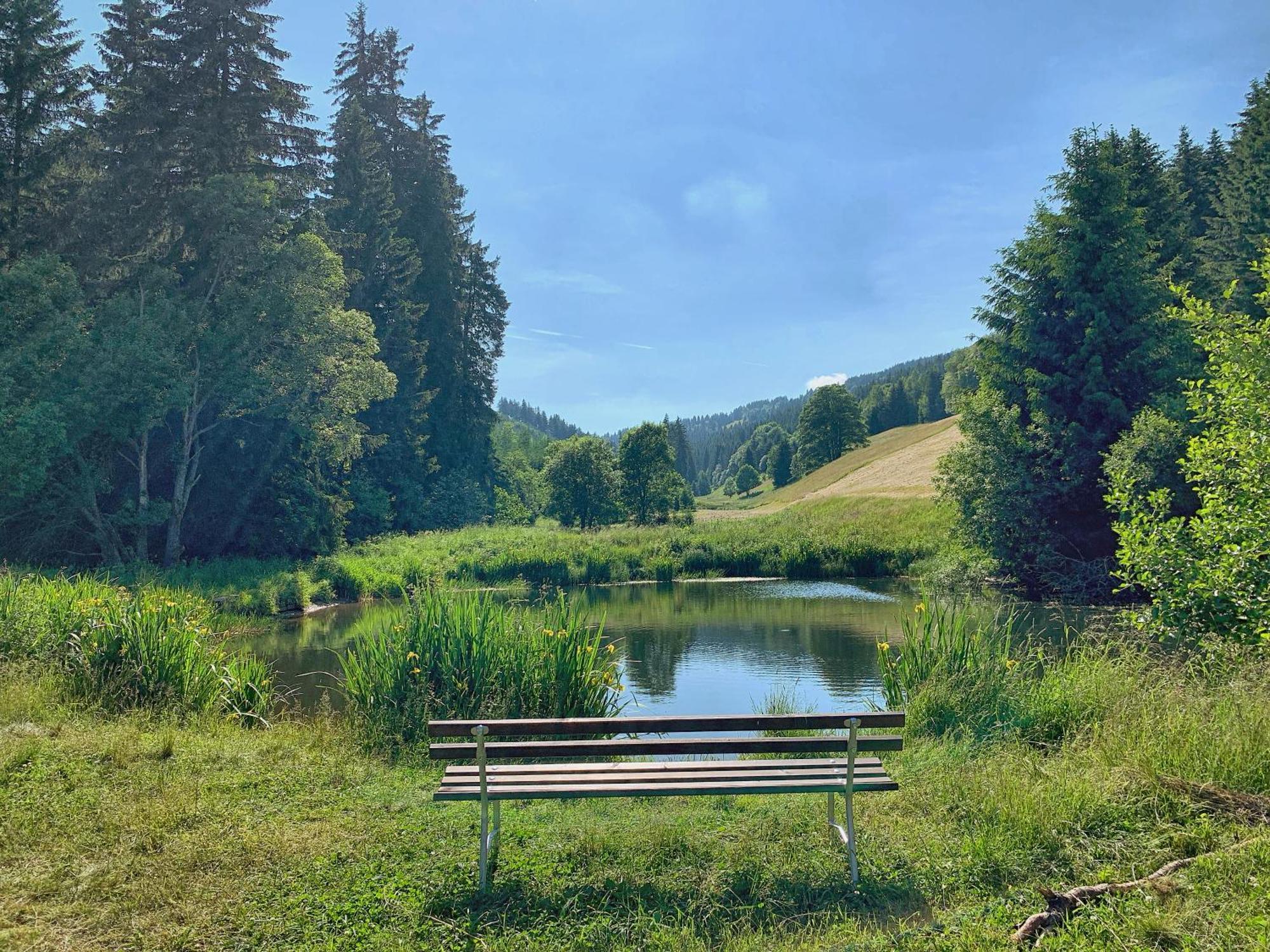 Erzgebirge Suite Bergruhe 奥泊维森塔尔 外观 照片